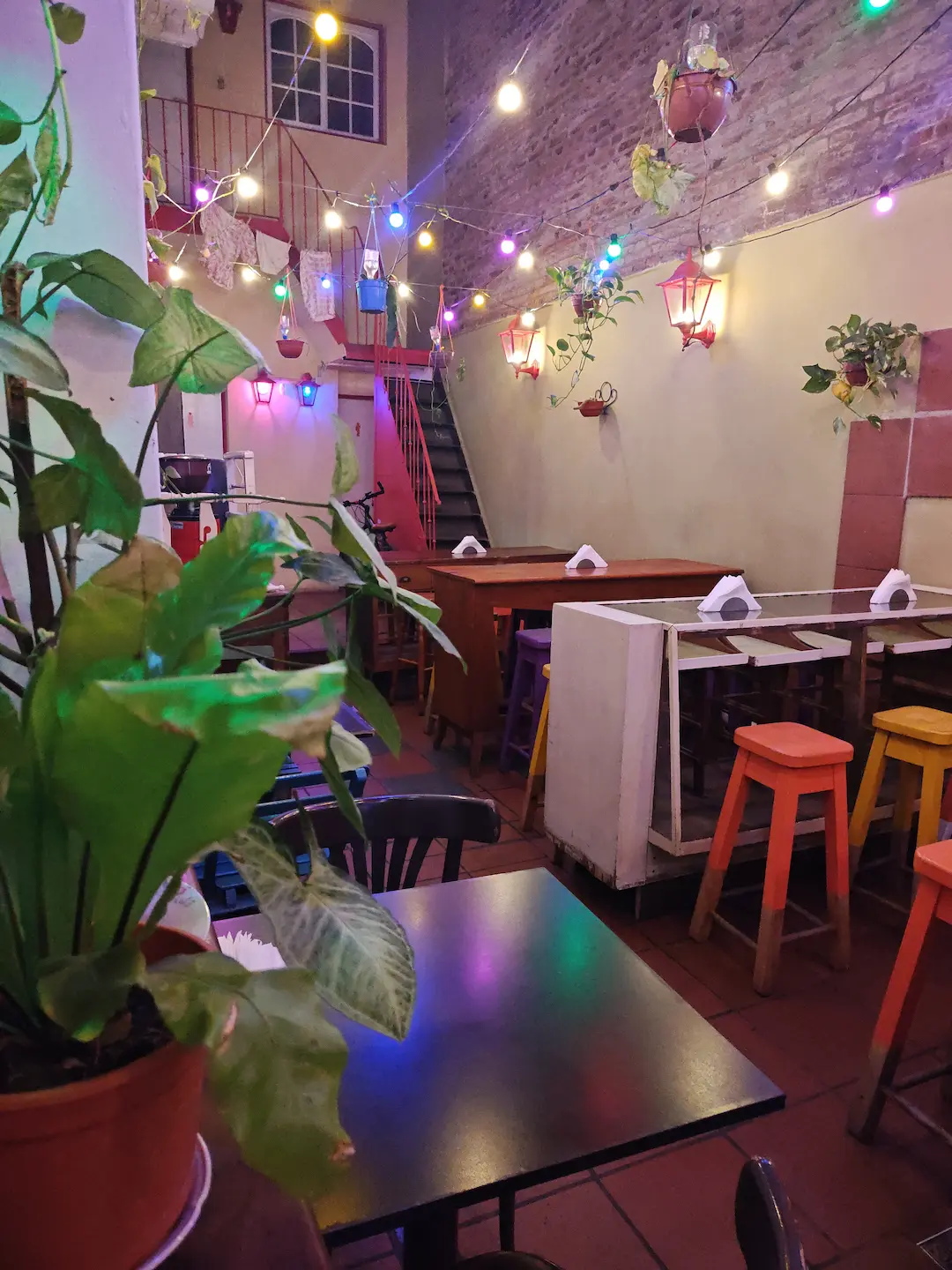 Salón amplio con plantas de interior, luces de feria y banquetas de colores